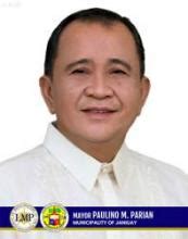 iloilo city councilors|Municipal Directory .